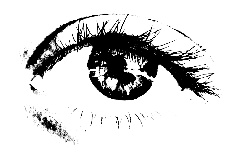 Logo pagina web